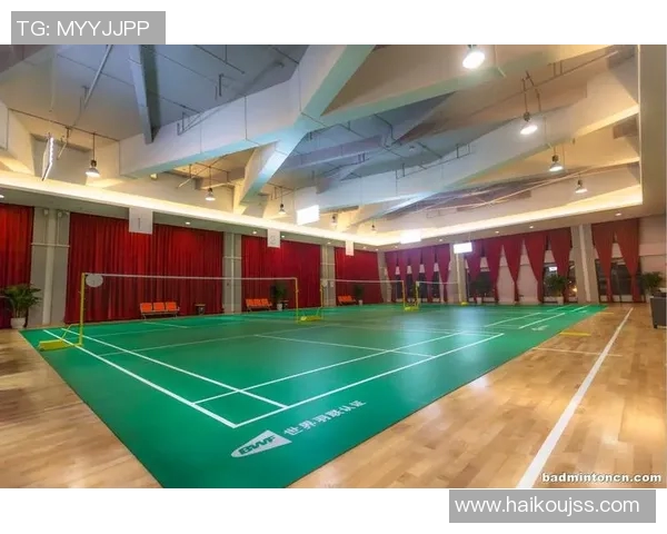 成都羽毛球队运营分析:成功经验与面临挑战的深度剖析 成都羽毛球队运营分析:成功经验与面临挑战的深度剖析