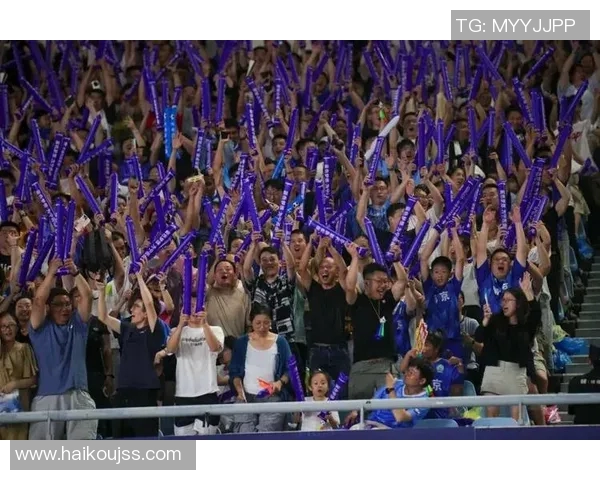 南京排球队力量之争引发热议球迷与专家各执己见