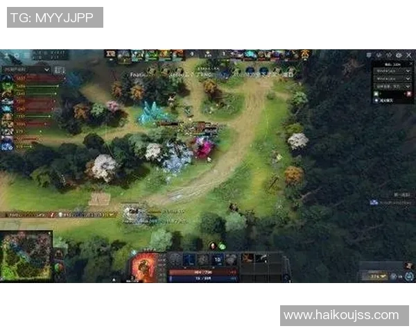 探讨RNG在DOTA2中的团队协作策略与战术配合分析 探讨RNG在DOTA2中的团队协作策略与战术配合分析