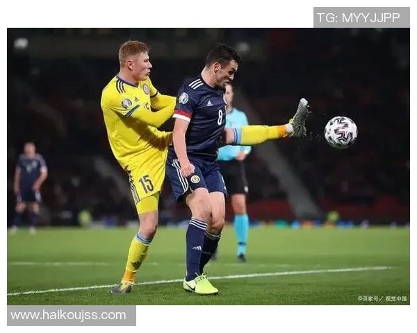 波黑与爱尔兰激战欧洲杯预选赛双方争夺晋级机会