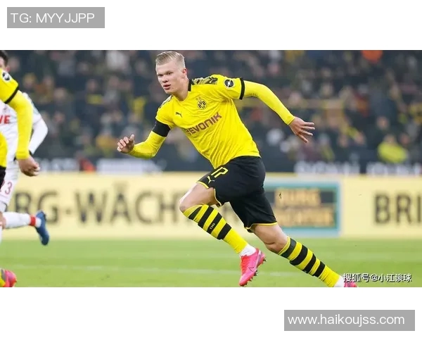 灰熊与骑士对决谁能笑到最后赛季精彩预测与分析